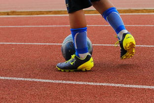 开云体育在线-NBA球员训练营最新发展动态，nba球员日常训练项目